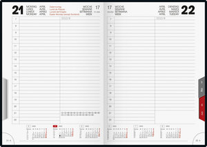 Tageskalender Modell ROMA 1, 2023, Balacron-Einband schwarz
