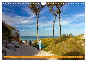 Wilder Darßer Weststrand (Wandkalender 2025 DIN A4 quer), CALVENDO Monatskalender