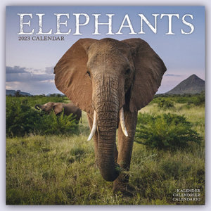 Elephants - Elefanten 2023 - 16-Monatskalender