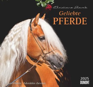 Geliebte Pferde 2025 – DUMONT-Wandkalender – Pferdefotografie von Christiane Slawik Format – 38,0 x 35,5 cm