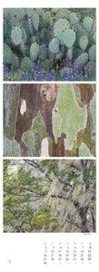 Colours of Nature - Triplets 2024 - Streifenkalender XXL 25x69 cm - Bildkalender im Hochformat - Naturkalender - Wandkalender - Wandplaner