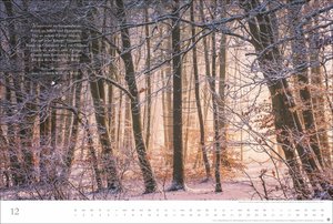 Der deutsche Wald - Ein literarischer Spaziergang Kalender 2026 - Ein literarischer Spaziergang