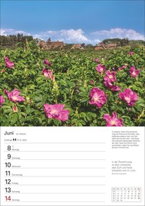 Sylt Wochenplaner 2026 - Eine Reise in 53 Bildern