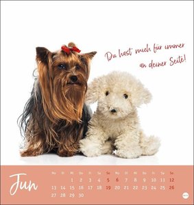 Ziemlich beste Freunde Postkartenkalender 2022
