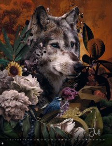André Sanchez: Tierporträts Posterkalender 2026