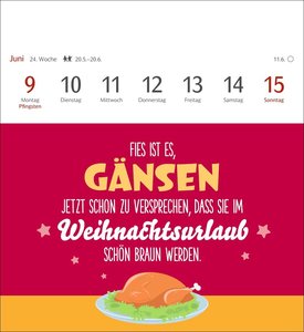 Der fette Vogel bricht den Ast Postkartenkalender 2025 - Wochenkalender - 53 Karten mit frechen Sprüchen