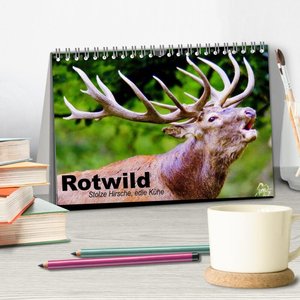 Rotwild. Edle Hirsche, stolze Kühe (Tischkalender 2024 DIN A5 quer), CALVENDO Monatskalender