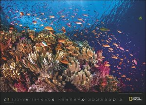 Wunder der Meere - Oceans Edition National Geographic Kalender 2022