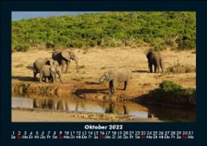 Elefanten Kalender 2022 Fotokalender DIN A5