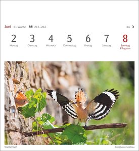 Heimische Vögel Postkartenkalender 2025 - Wochenkalender mit 53 Postkarten