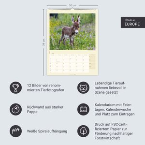 Esel Kalender 2026