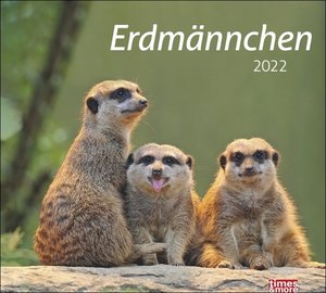 times&more Erdmännchen Bildkalender 2022