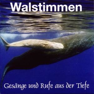 Walstimmen, 1 Audio-CD