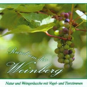 Rund um den Weinberg, 1 Audio-CD