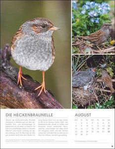 Vögel in unseren Gärten Posterkalender 2022