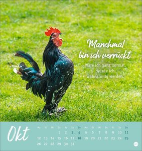 Hühner Postkartenkalender 2026