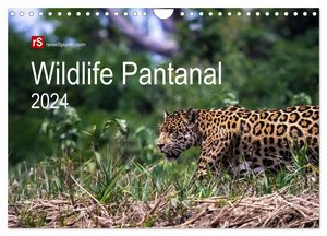 Wildlife Pantanal 2024 (Wandkalender 2024 DIN A4 quer), CALVENDO Monatskalender