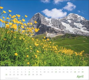 times&more Alpen Bildkalender 2025