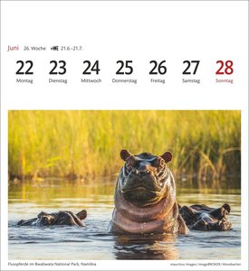 Südafrika & Namibia Sehnsuchtskalender 2026