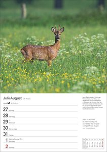 Naturschätze Deutschlands Wochenplaner 2026 - Eine Reise in 53 Bildern