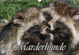 Marderhunde