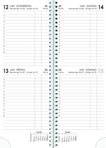 Tagevormerkbuch 2025 - farbig sortiertes Bundle - 2T/1S - 10,5x29,7  - Büro-Kalender - 800-0000-1