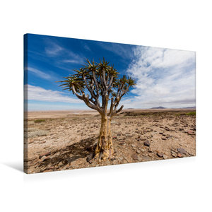 Premium Textil-Leinwand 75 cm x 50 cm quer Namib-Naukluft Nationalpark, Namibia