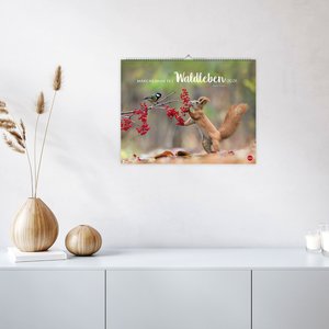 Vadim Trunov: Märchenhaftes Waldleben Posterkalender 2026