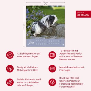 Kuschelige Meerschweinchen Postkartenkalender 2026