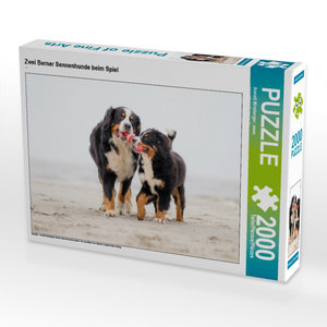 CALVENDO Puzzle Zwei Berner Sennenhunde beim Spiel 2000 Teile Puzzle quer