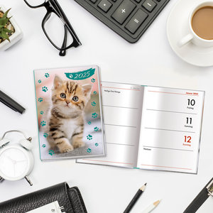 Trötsch Taschenkalender A7 Katze 2025
