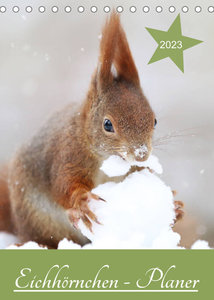 Eichhörnchen - Planer (Tischkalender 2023 DIN A5 hoch)
