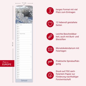 times&more Garten Langplaner 2026