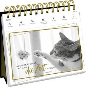 Postkartenkalender 2024: Inspirierende Worte für Katzenfreunde