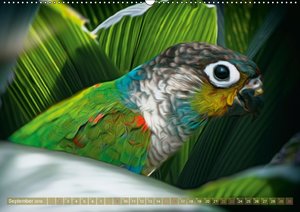 Farbenfrohe Vögel - Exoten ARTWORK