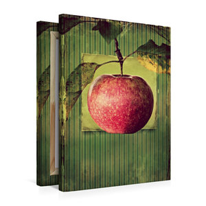 Premium Textil-Leinwand 50 cm x 75 cm hoch Apfel im vintagelook