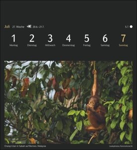 Magic Nature Postkartenkalender 2024. Tischkalender zum Aufstellen und Aufhängen mit 53 Postkarten: Landschafts- und Tierfotos zum Sammeln und Verschicken