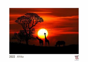 Afrika 2022 - White Edition - Timokrates Kalender, Wandkalender, Bildkalender - DIN A4 (ca. 30 x 21 cm)