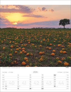 Österreich Kalender 2026