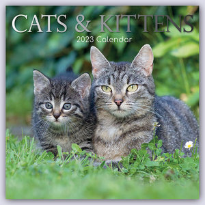 Cats & Kittens - Katzen & Kätzchen 2023 - 16-Monatskalender