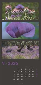 Die Farben der Natur Kalender 2026