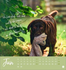 Ziemlich beste Freunde Postkartenkalender 2026
