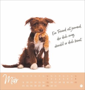 Ziemlich beste Freunde Postkartenkalender 2026