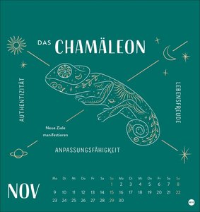 Krafttiere Postkartenkalender 2026