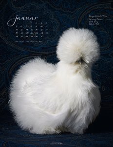 Pretty Chicks 2026