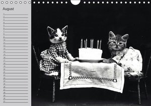 Katzen und Hunde - Nostalgie auf Pfoten (Wandkalender immerwährend DIN A4 quer)