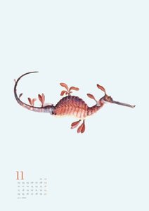 Wandkalender »Menagerie« 2025 – Historische Tier- und -Pflanzen-Zeichnungen modern interpretiert – Von 30x40 – 29,7 x 42 cm – Mit Spiralbindung