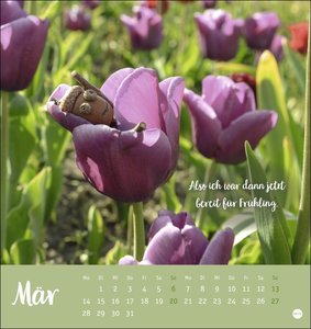 Eichelmännchen Postkartenkalender 2022