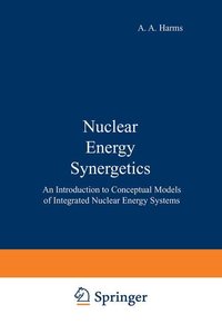 Nuclear Energy Synergetics