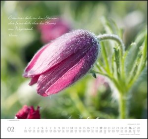 Achtsamkeit 2023 - DUMONT Wandkalender - mit den wichtigsten Feiertagen - Format 38,0 x 35,5 cm